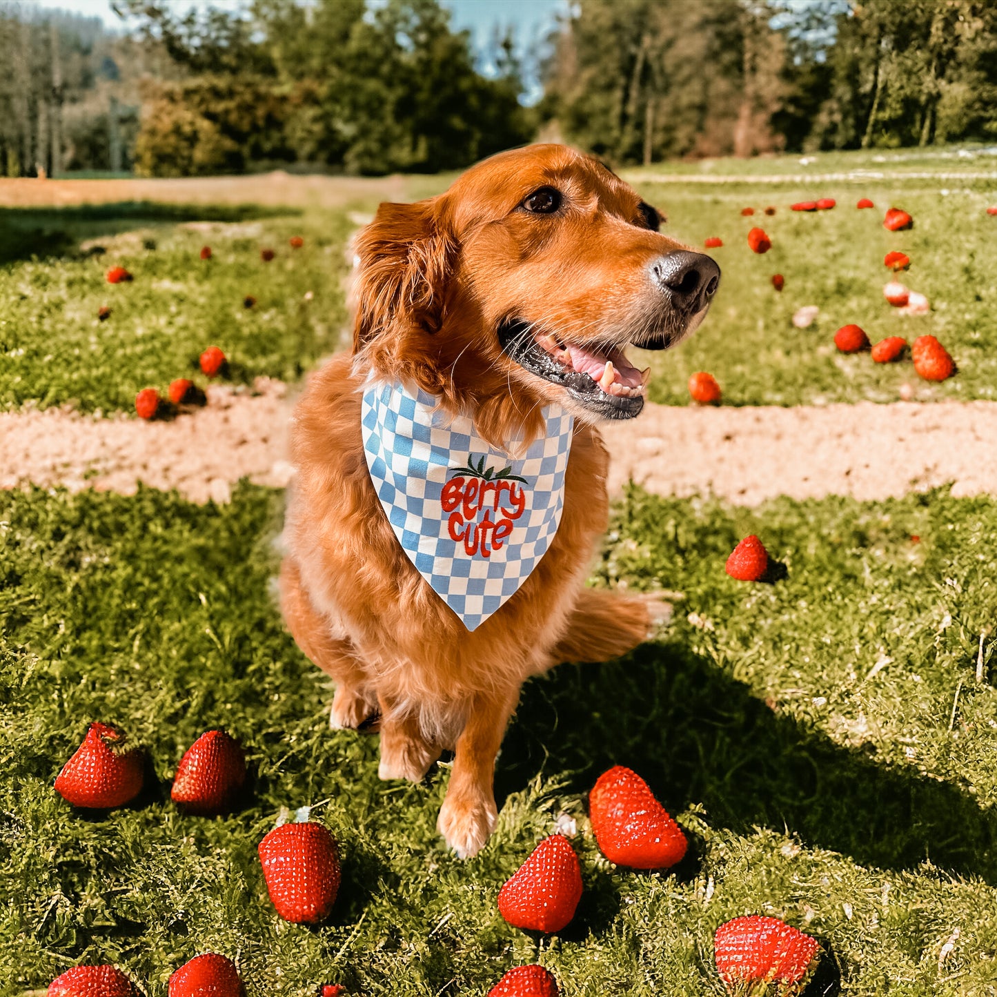 Berry Cute Bandana | Spring Horizon π
