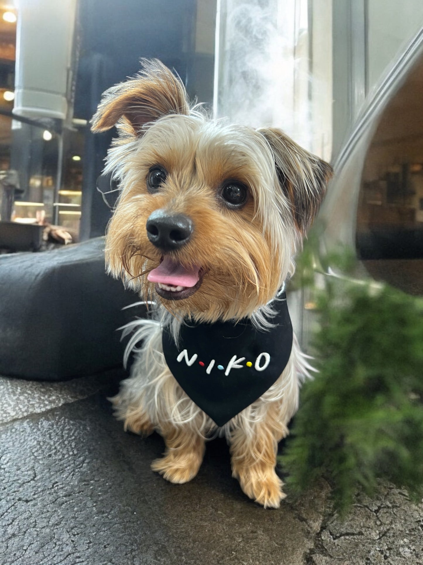 Friends Reversible Bandana | Everyday Collection