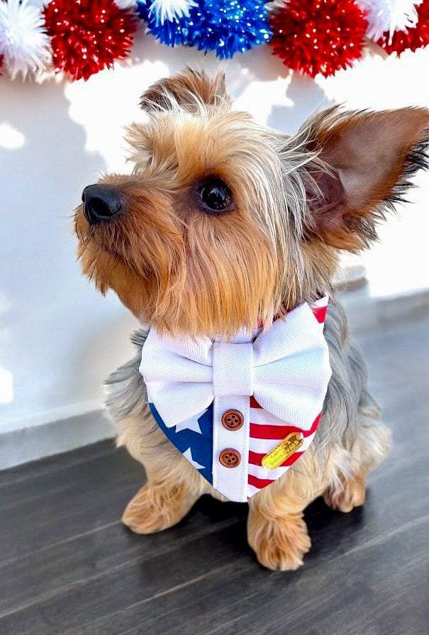 American Dude Bandana | Pawty in The USA Collection πΊπΈ