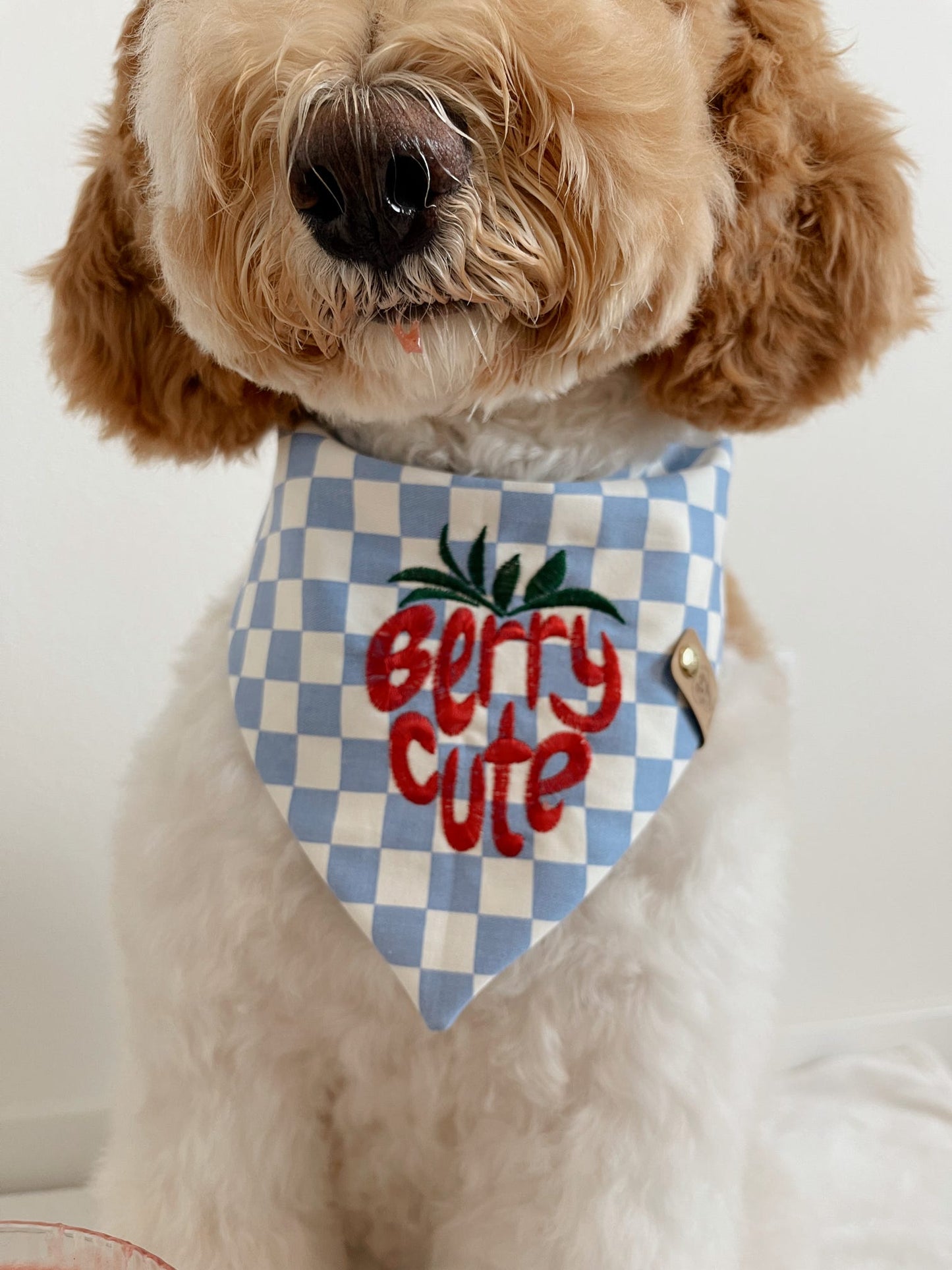 Berry Cute Bandana | Spring Horizon π