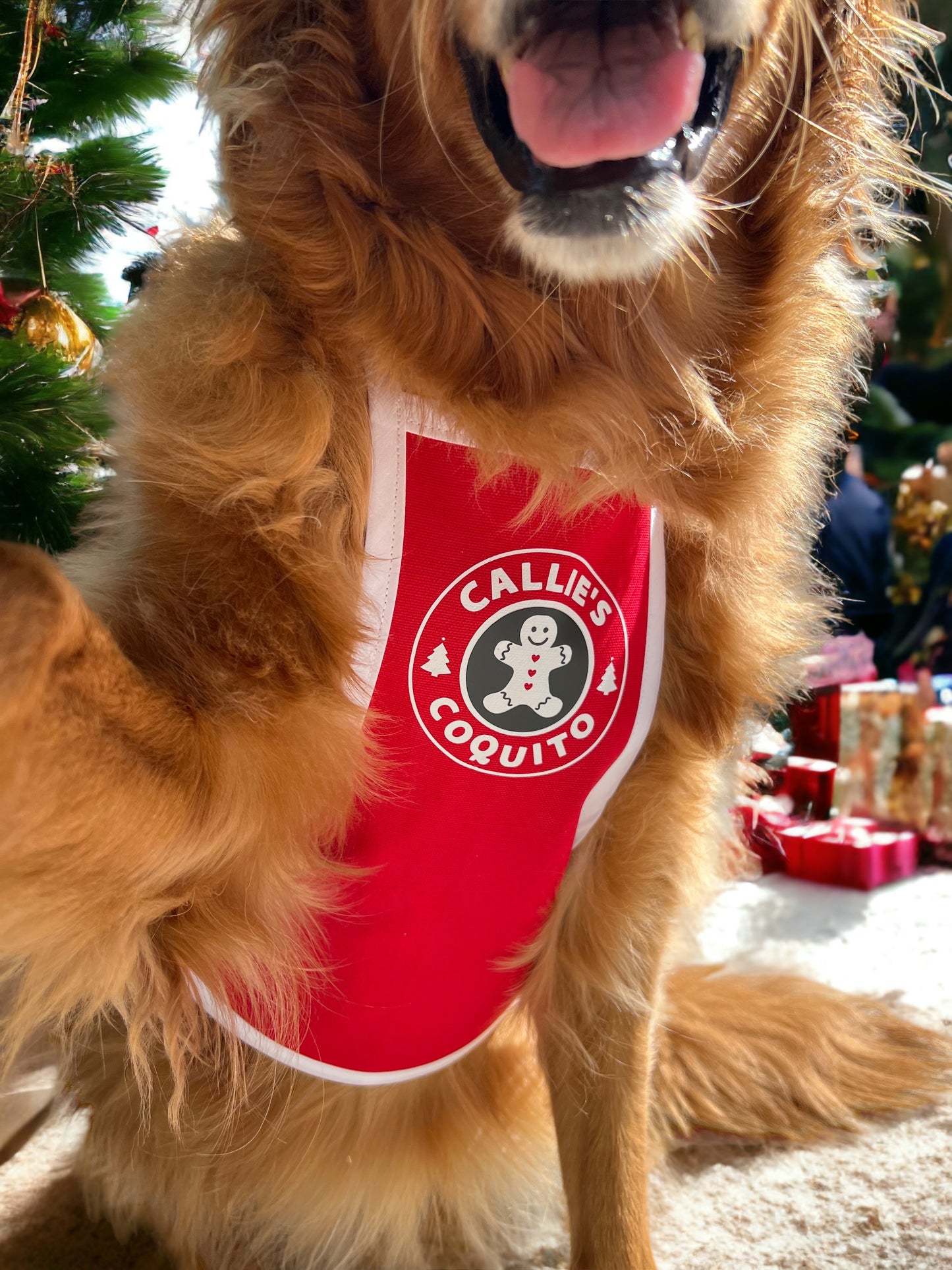 Holiday Hot Chocolate Apron | A Very Boulevard Christmas Collection 🎄