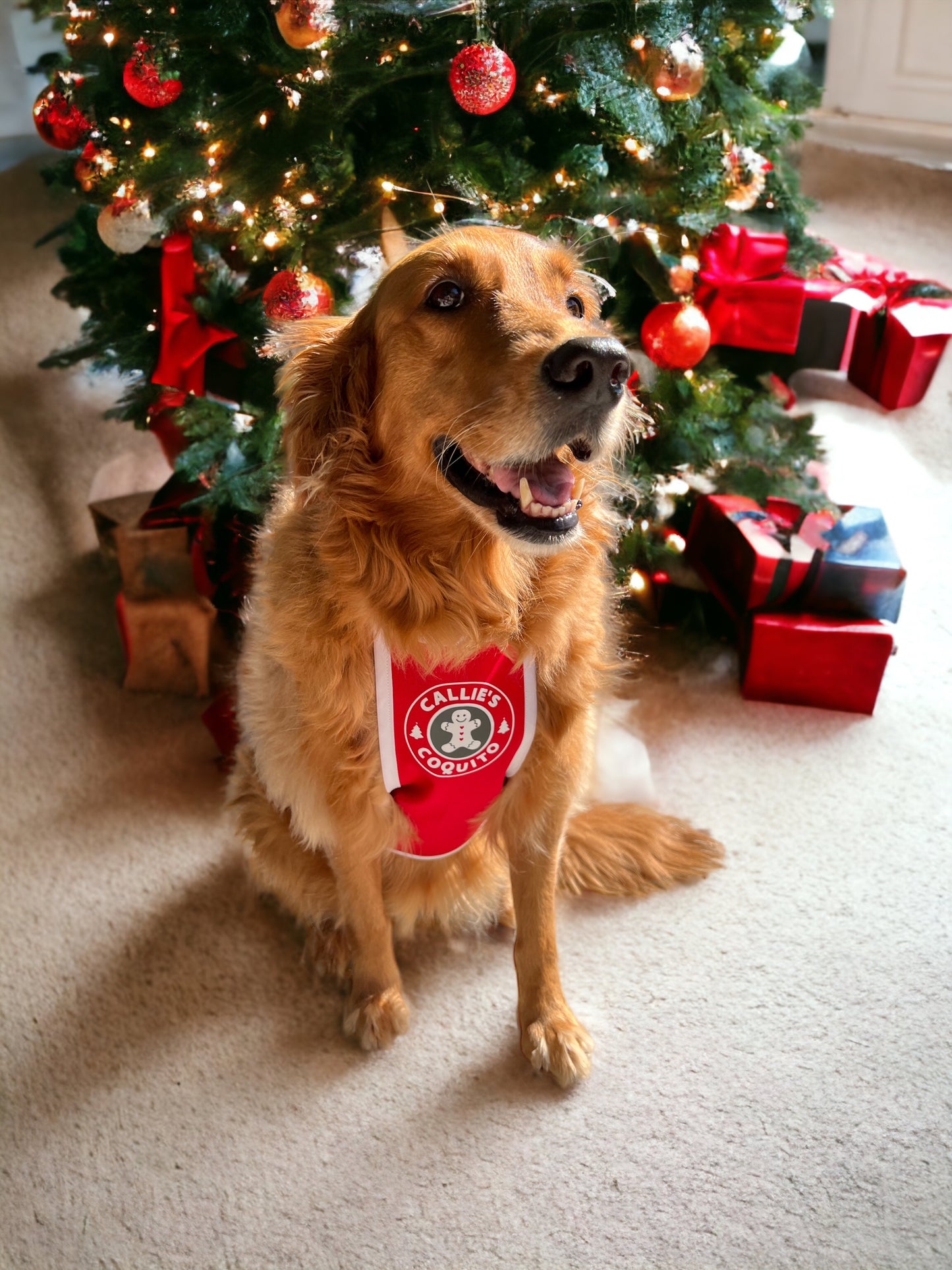 HOLIDAY PUPPUCCINO APRON