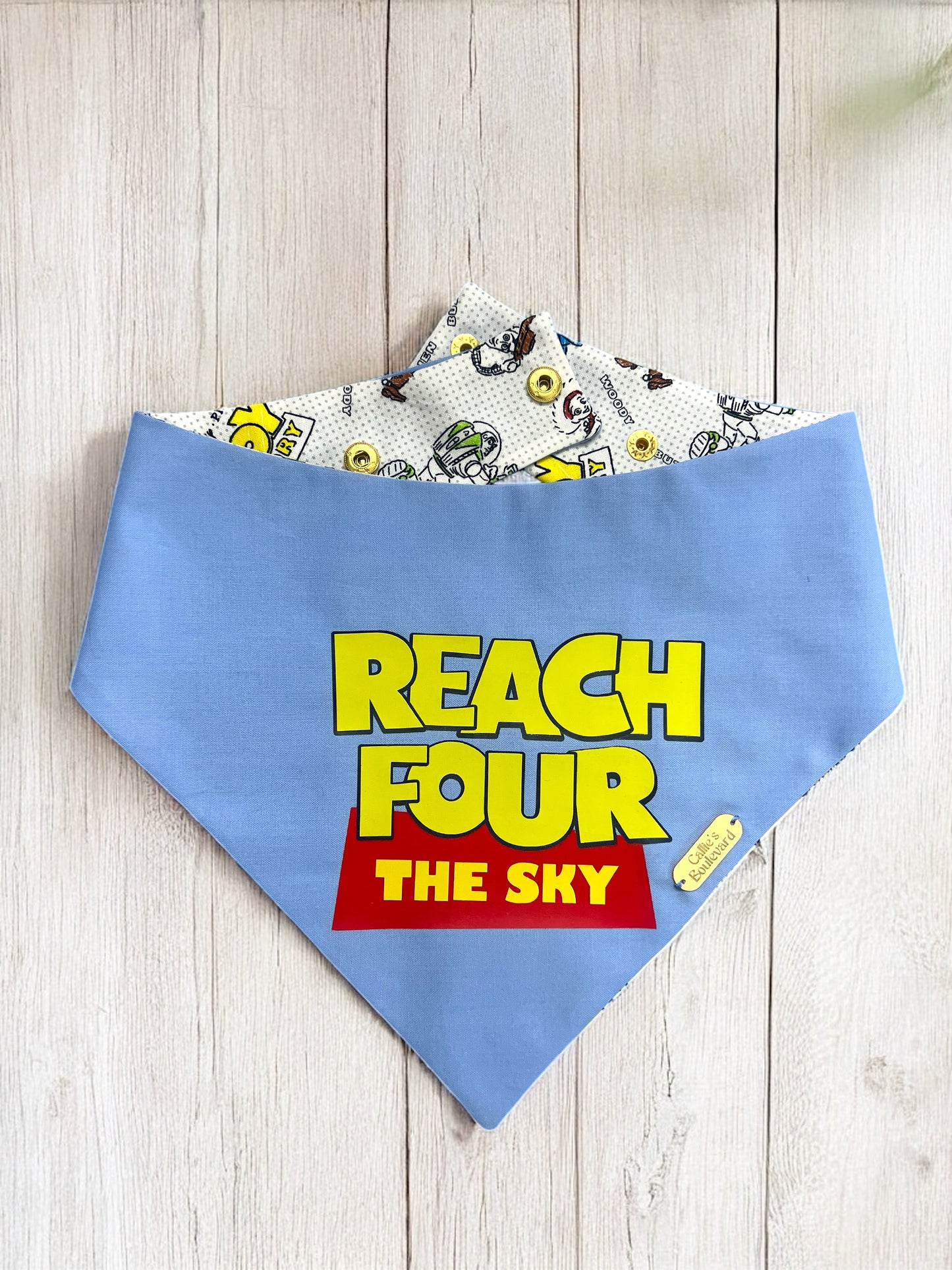 REACH FOUR THE SKY BANDANA | BIRTHDAY BANDANAS