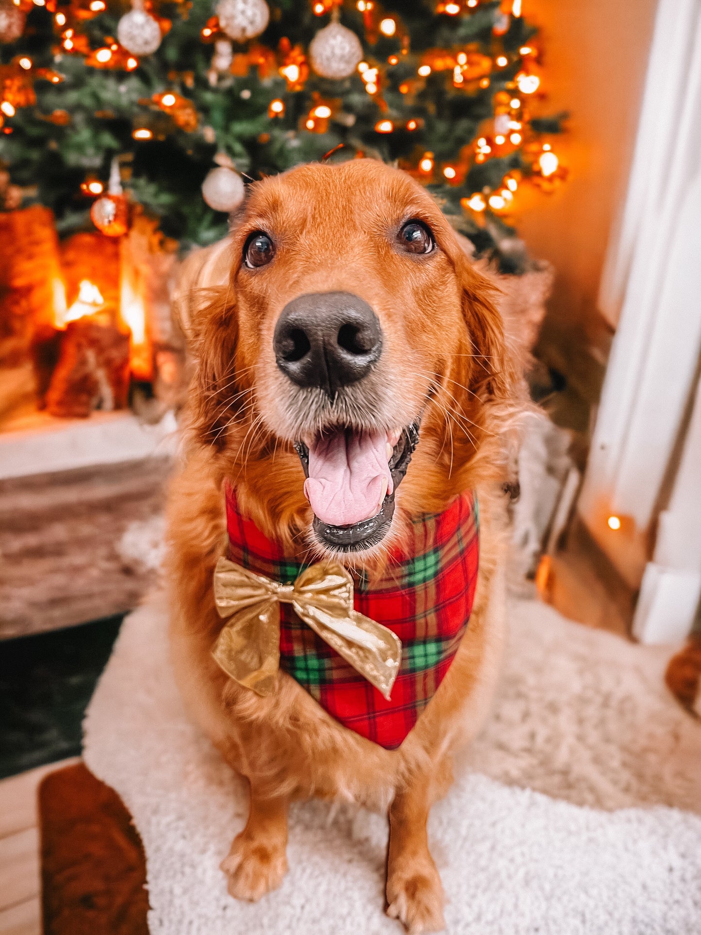 Pawfect Present Bandana | Holiday Collection π