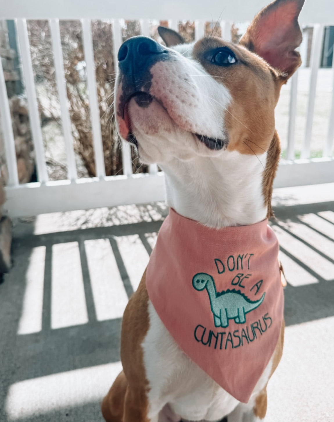 Cuntasaurus Bandana | Everyday Collection