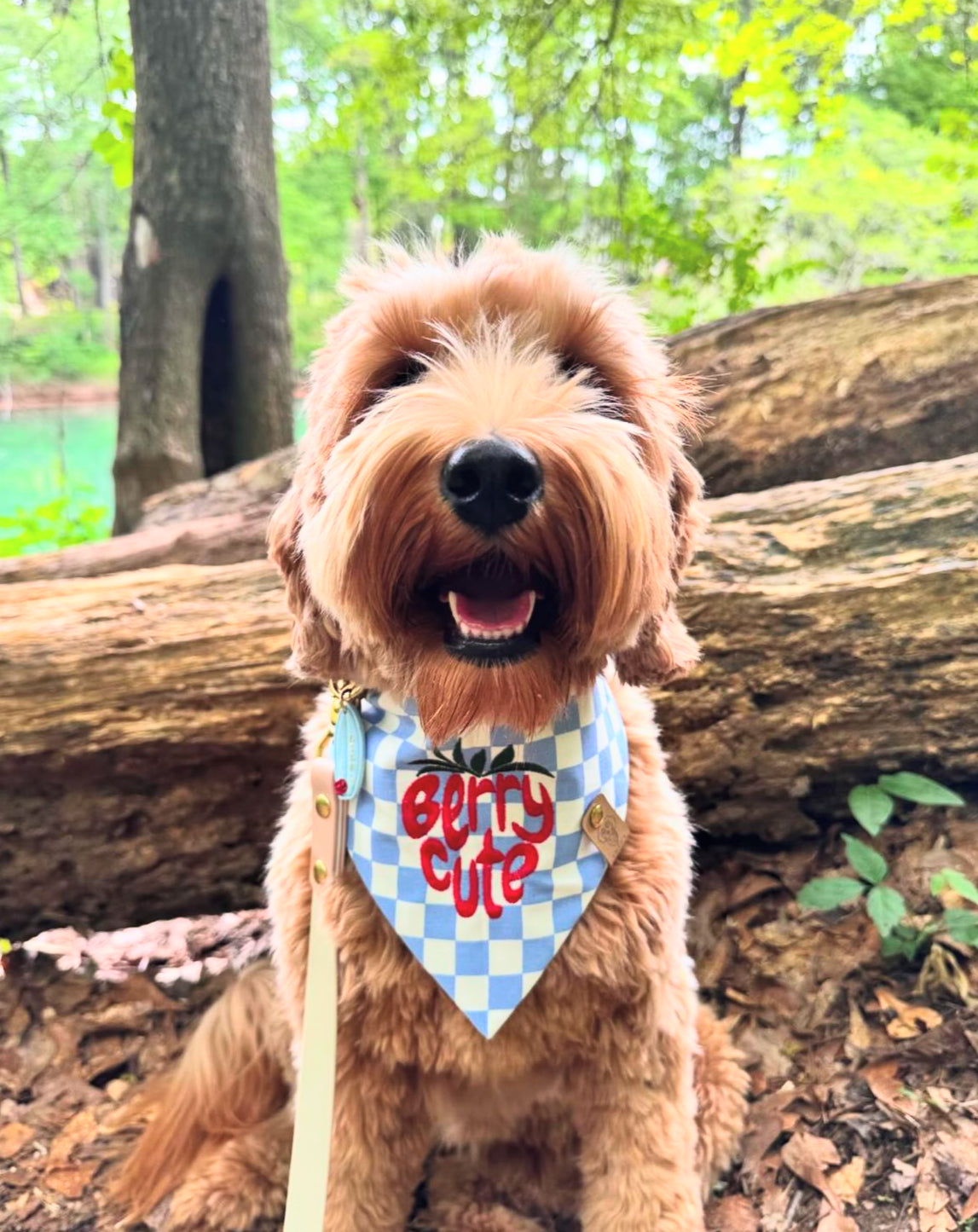 Berry Cute Bandana | Spring Horizon π