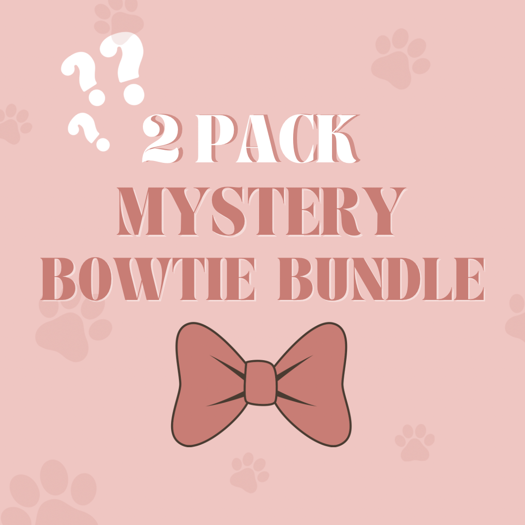 ( 2 Pack ) MYSTERY BOWTIE BUNDLE