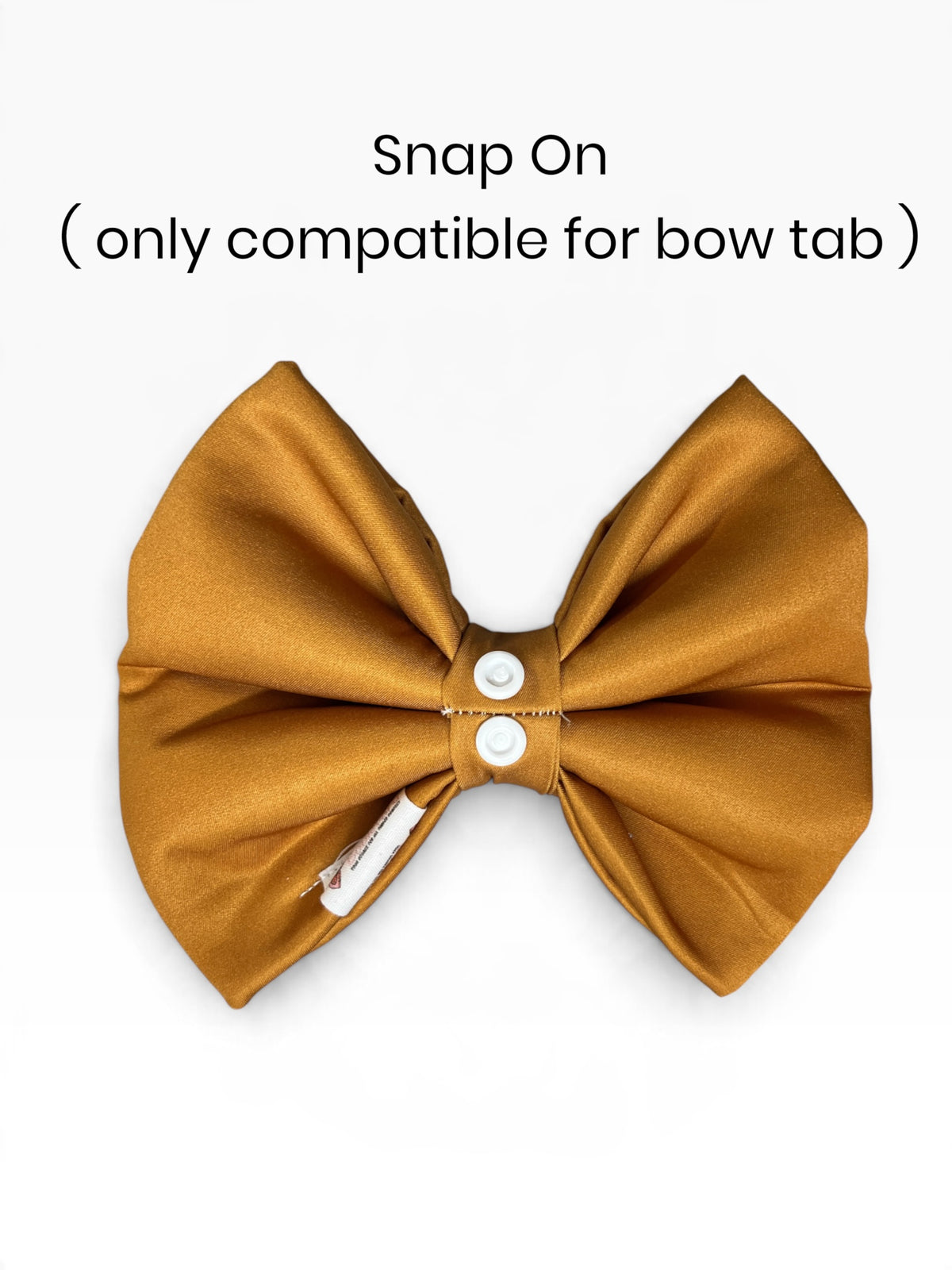 Wally Bowtie | Autumn Avenue