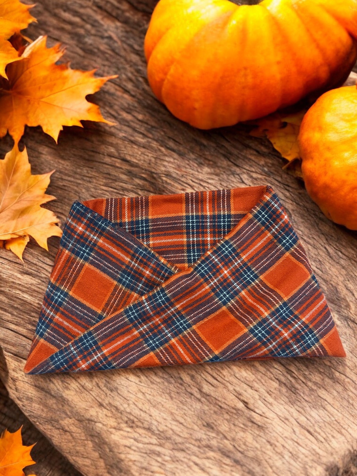 Spiced Cider Scarf | Autumn on the Boulevard Collection π