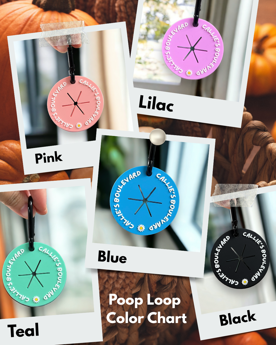 FALL DOG MOM BOO BAG | YOU'VE BEEN BOOED GRAM