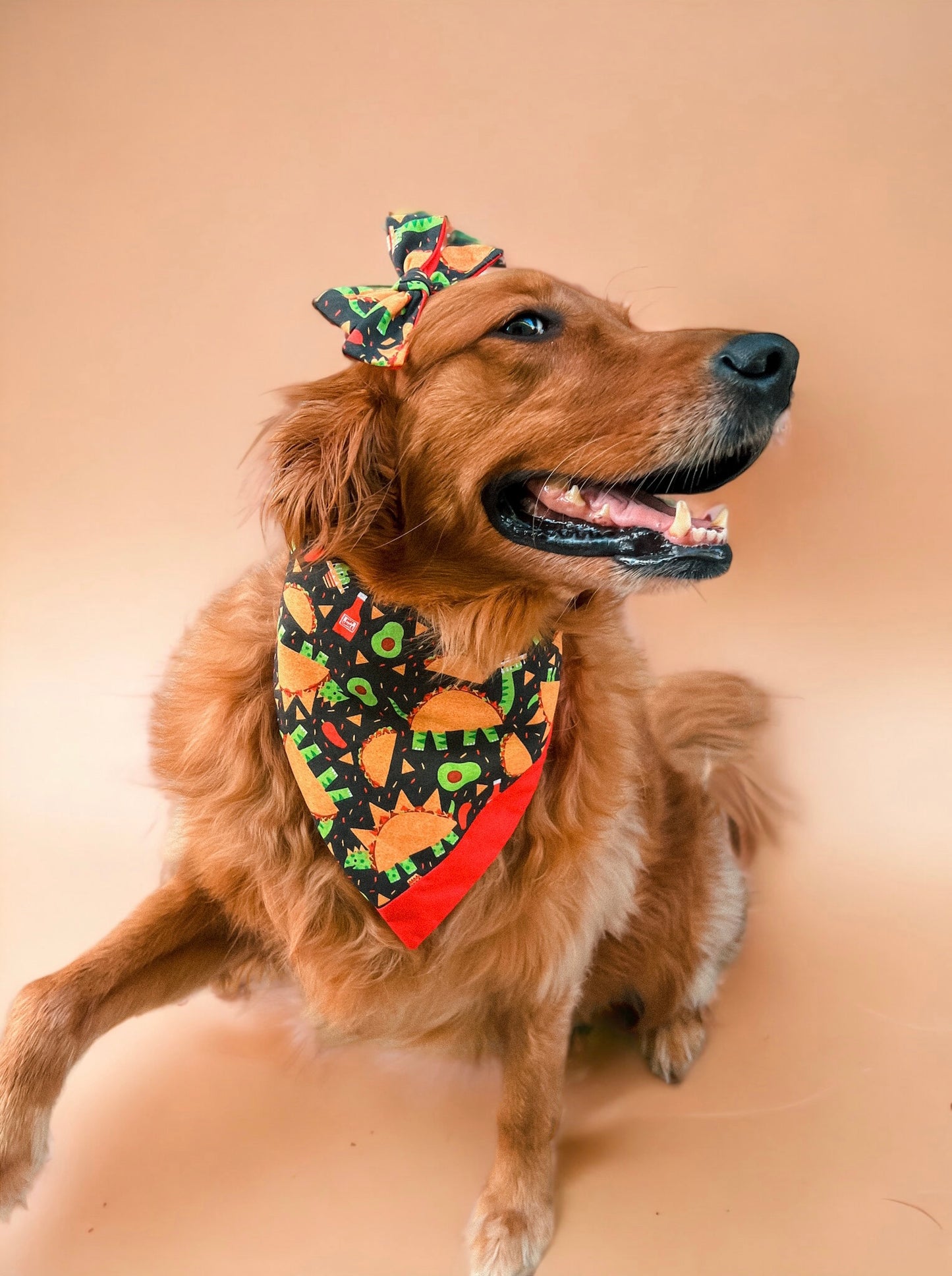 Taco Tuesday Bandana | Pet Accessories
