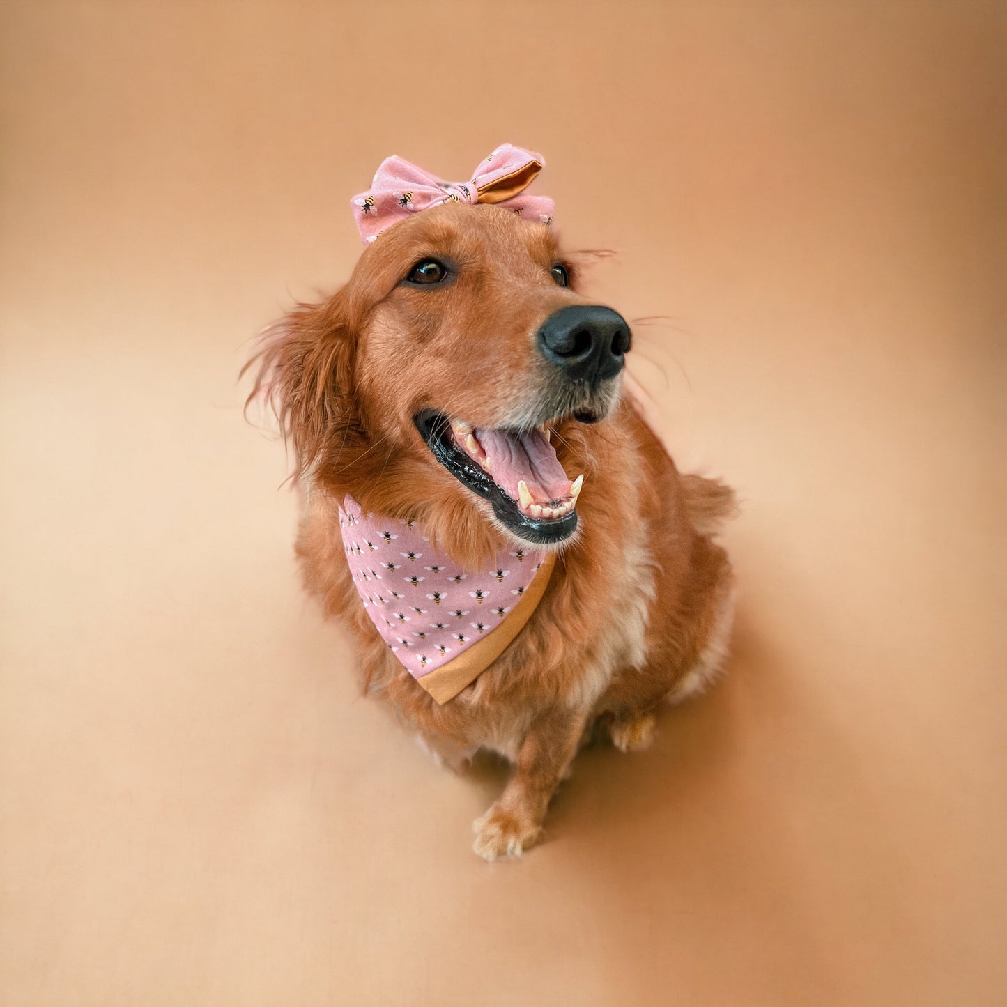 Honey Trail Bandana | Pet Accessories