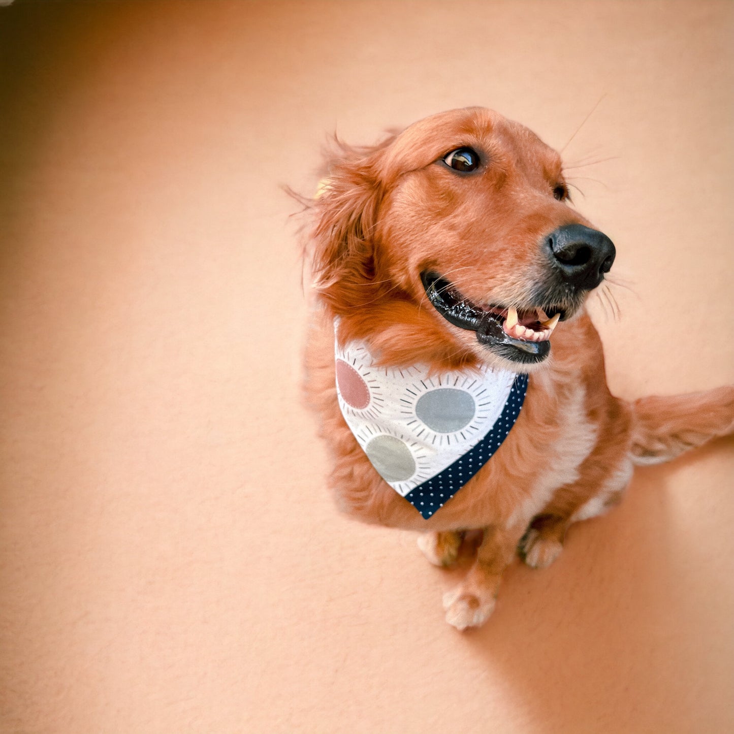 Summer Daze Bandana | Pet Accessories