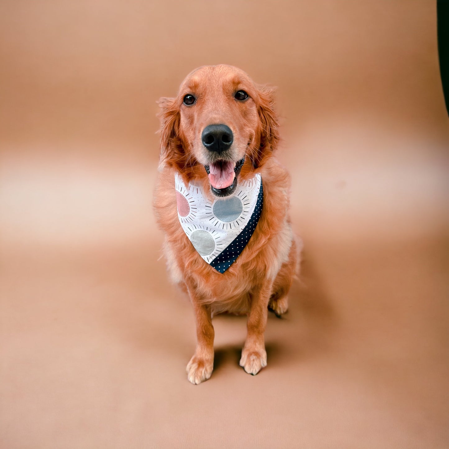 Summer Daze Bandana | Pet Accessories