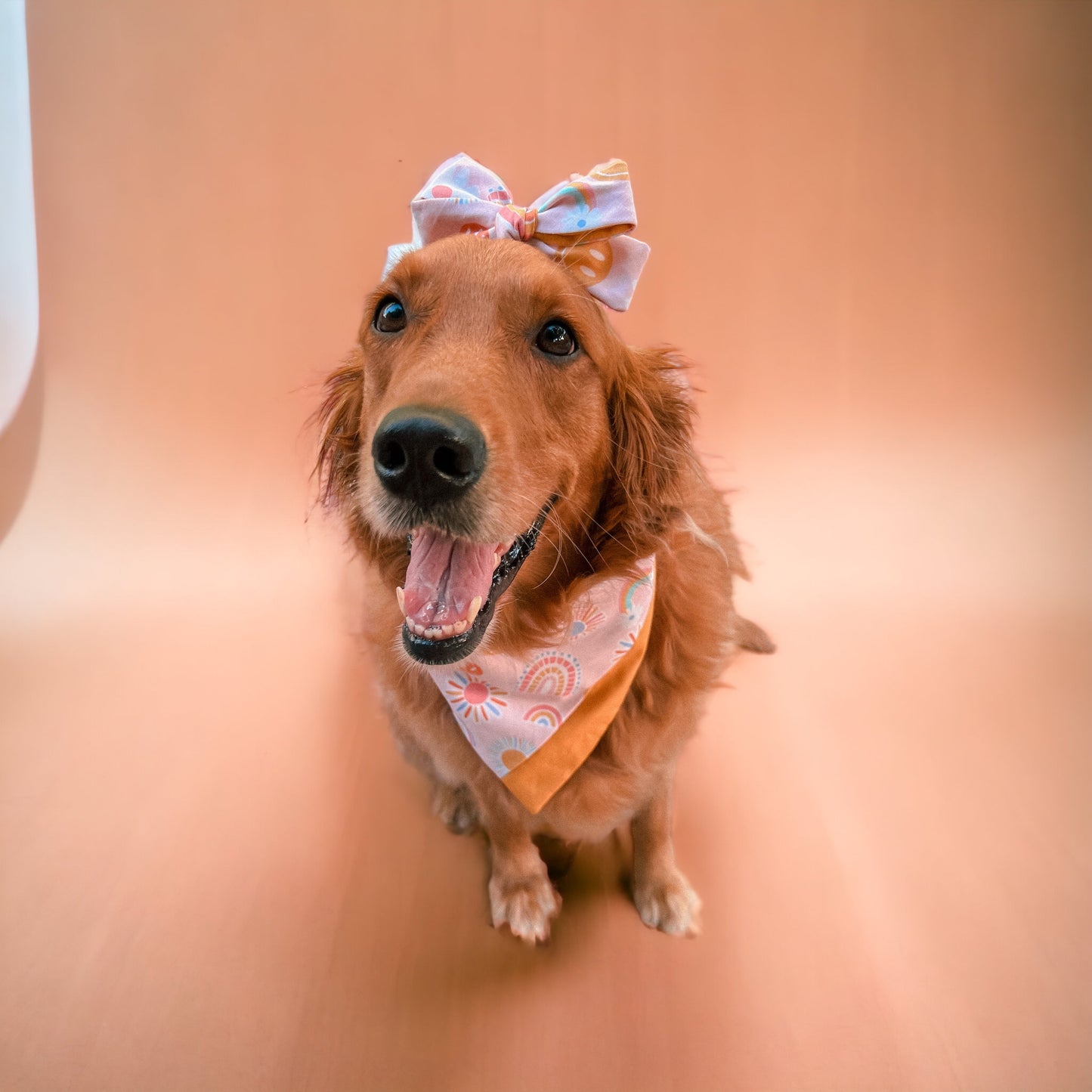 Happy Vibes Clip On Bow | Summer Collection ☀️