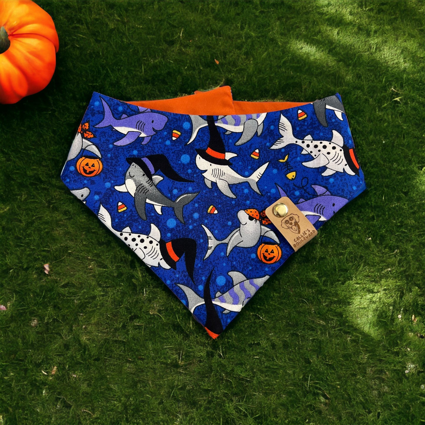 Boo Shark | Halloween Pet Accessories