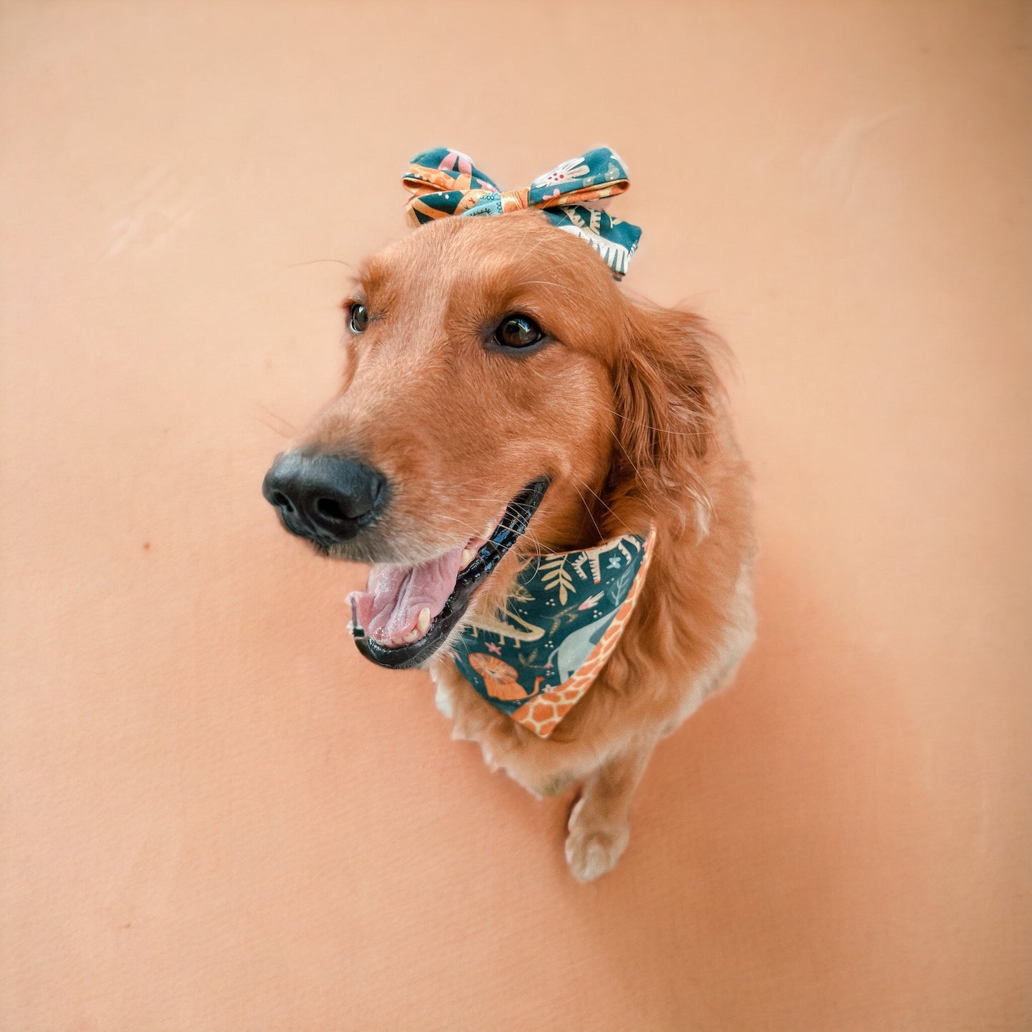ZOOmies Bandana | Pet Accessories