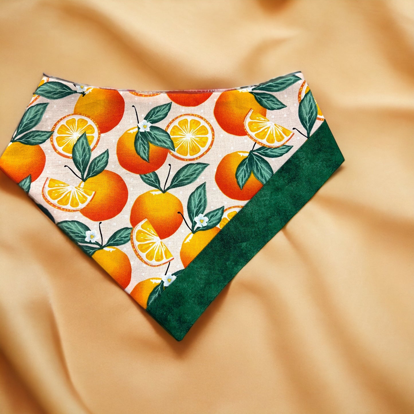 Orange You Nice Bandana | Pet Accessories