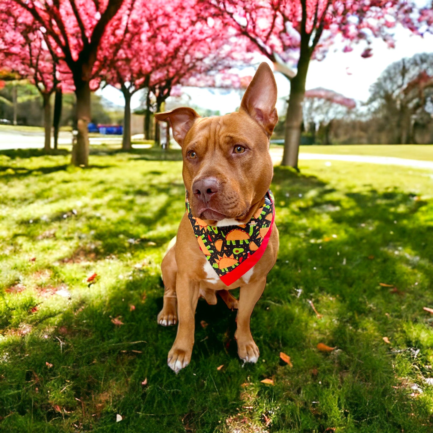 ZOOmies Bandana | Pet Accessories