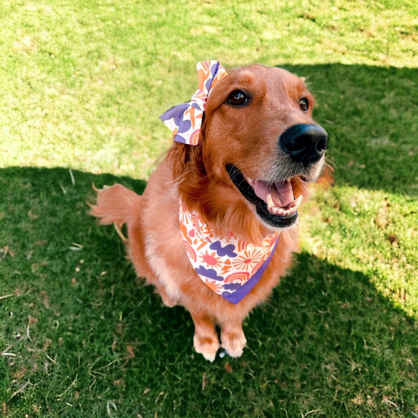 Change of Weather Bandana | Pet Accessories