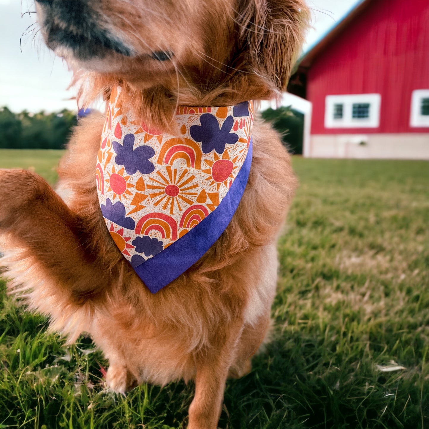 Change of Weather Bandana | Pet Accessories
