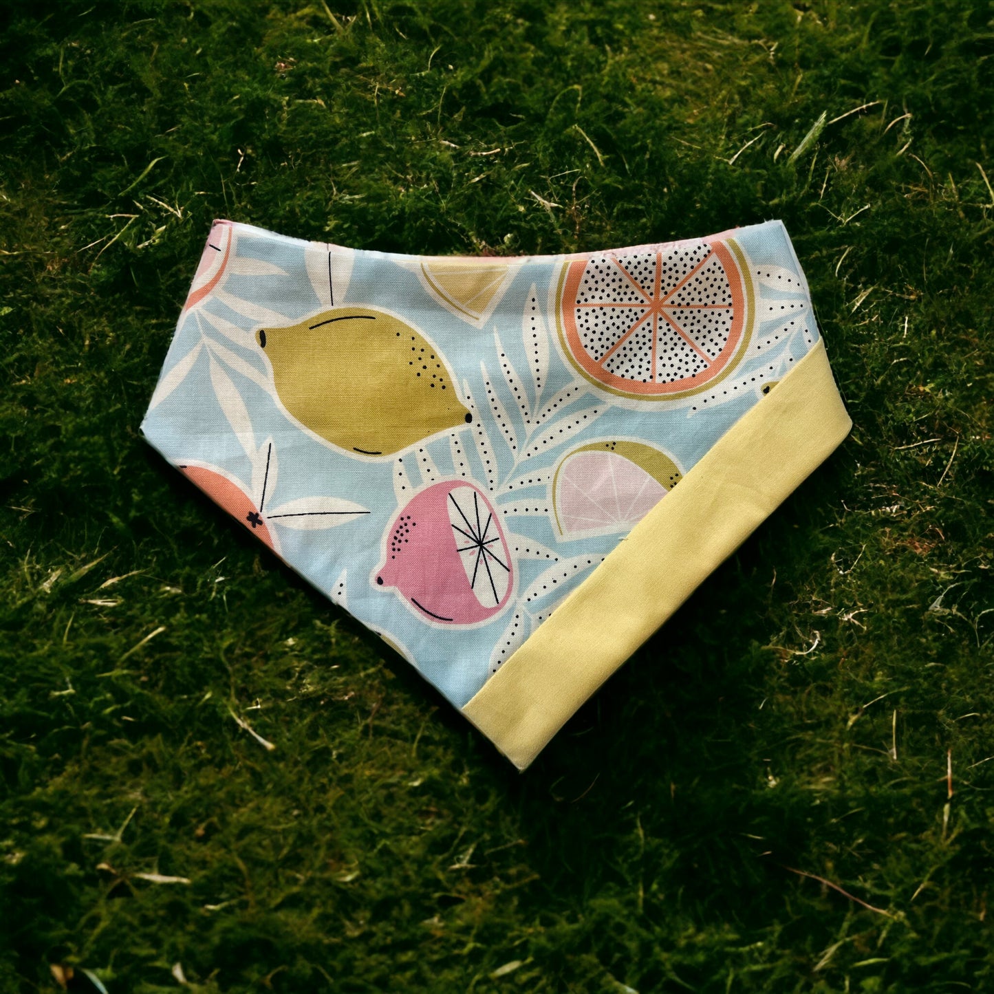 Citrus Summer Bandana | Pet Accessories