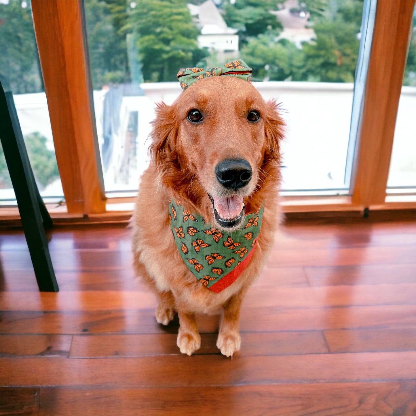 Wild Butterfly Bandana | Pet Accessories