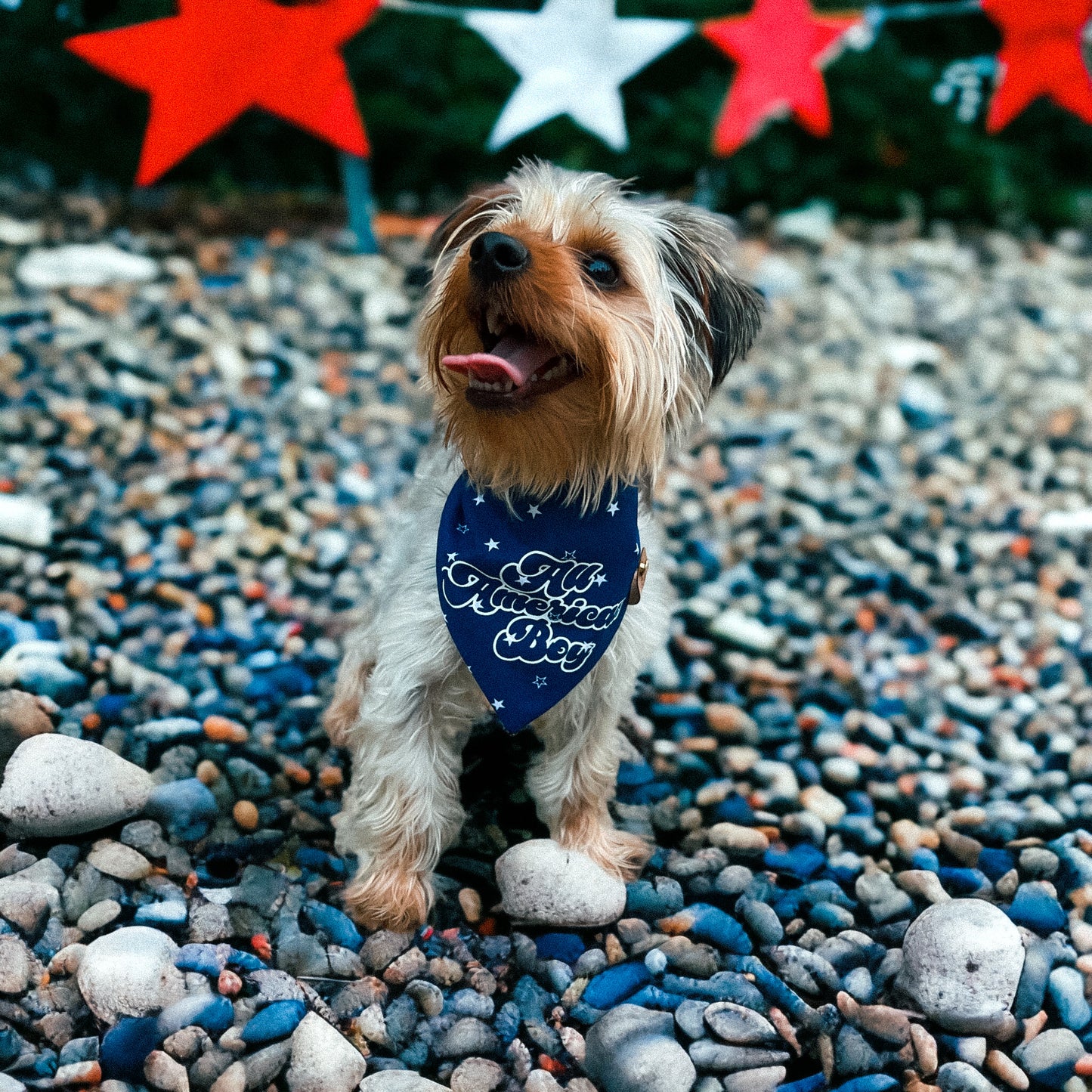 All American Bandana | 4th Of July
