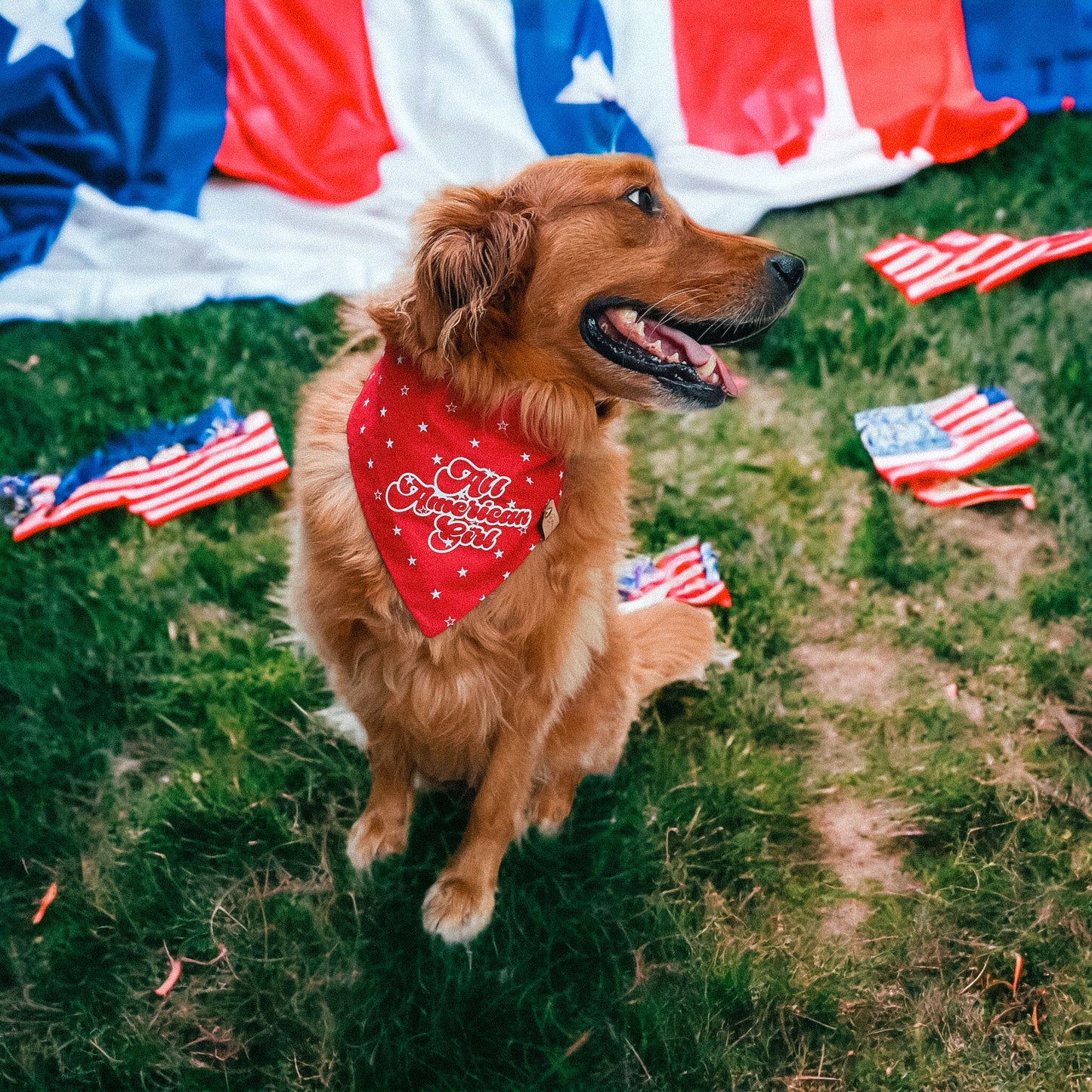 All American Bandana | 4th Of July