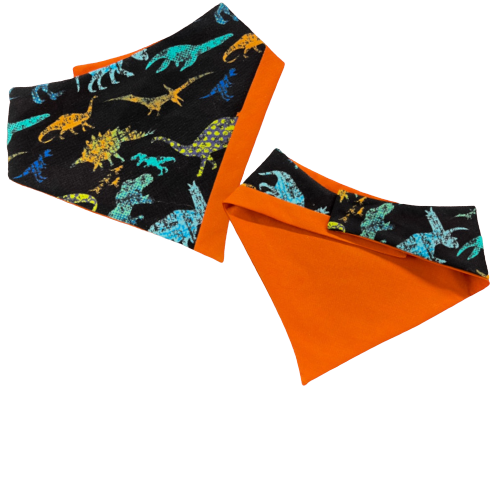 Dinoland Bandana | Pet Accessories