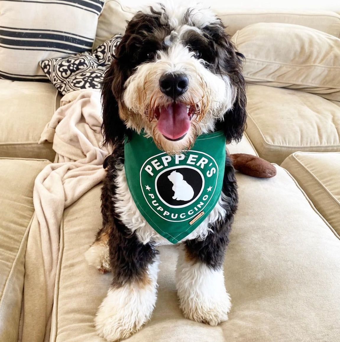 CUSTOM PUPPUCCINO BANDANA