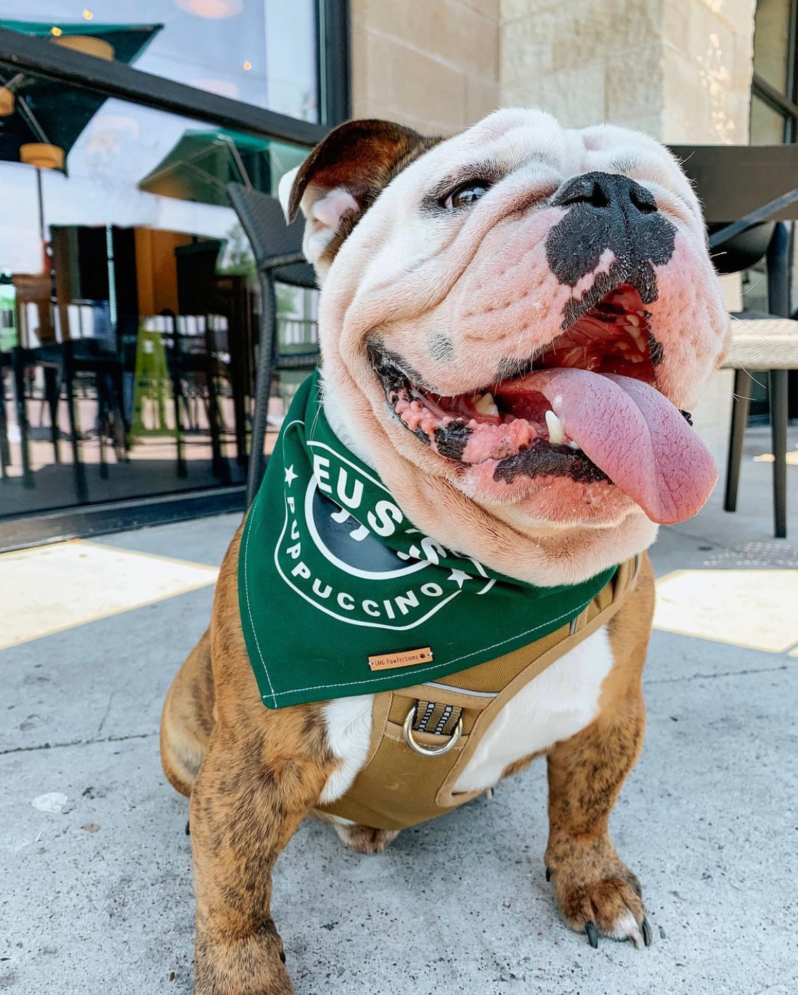 CUSTOM PUPPUCCINO BANDANA