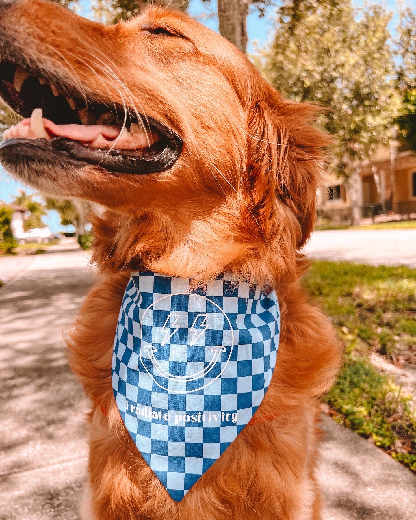 I Radiate Positivity Bandana | Positive Affirmation Collection
