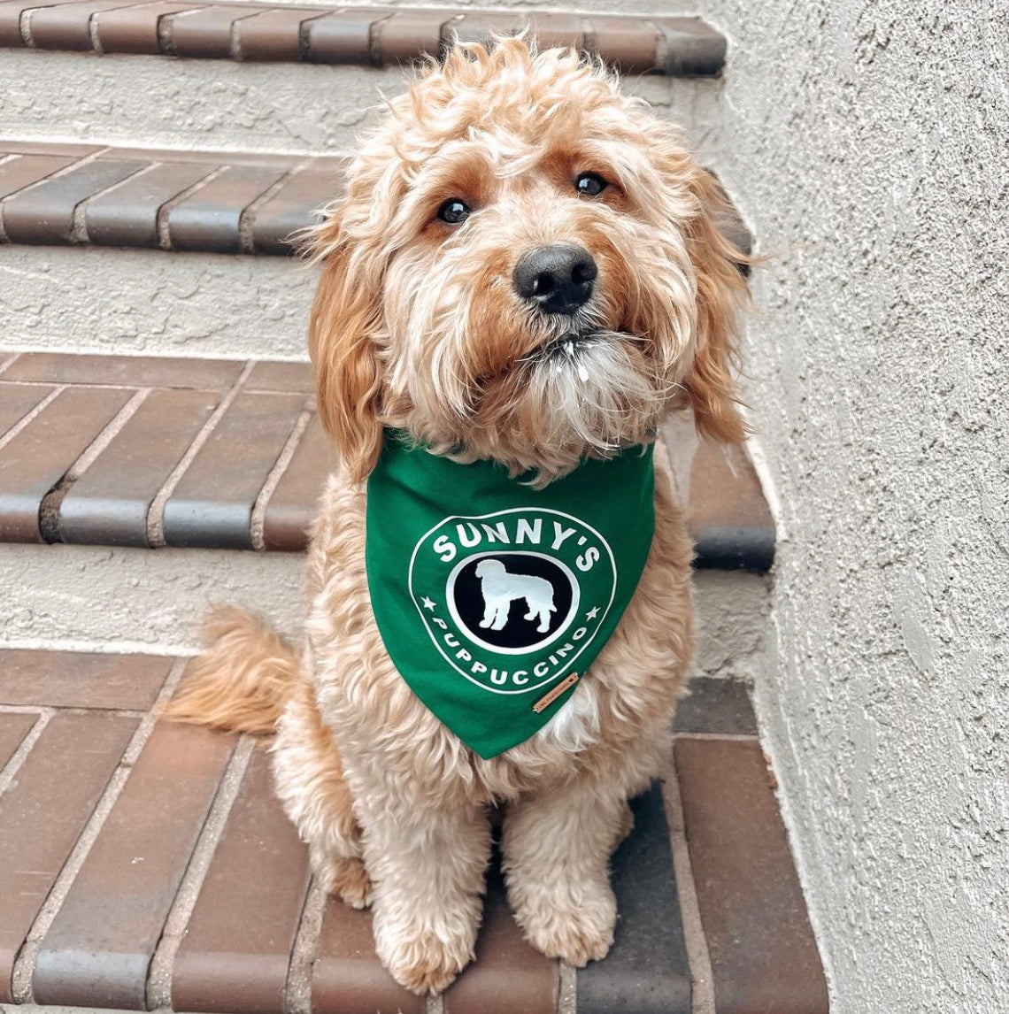 CUSTOM PUPPUCCINO BANDANA
