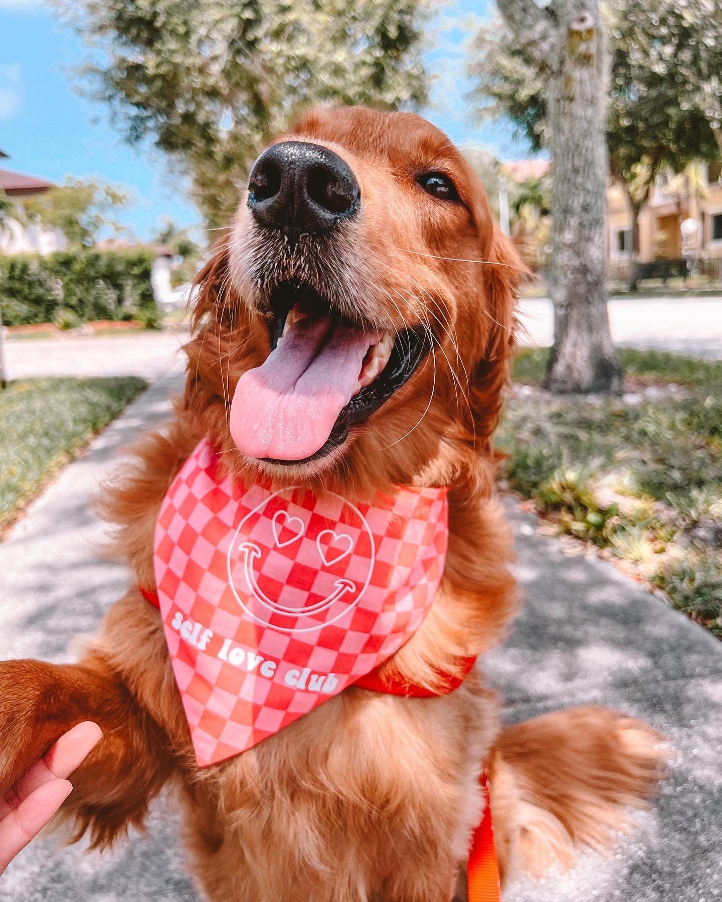 Self Love Club Bandana | Positive Affirmation Collection