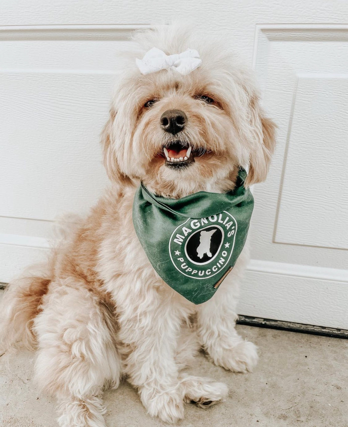 CUSTOM PUPPUCCINO BANDANA