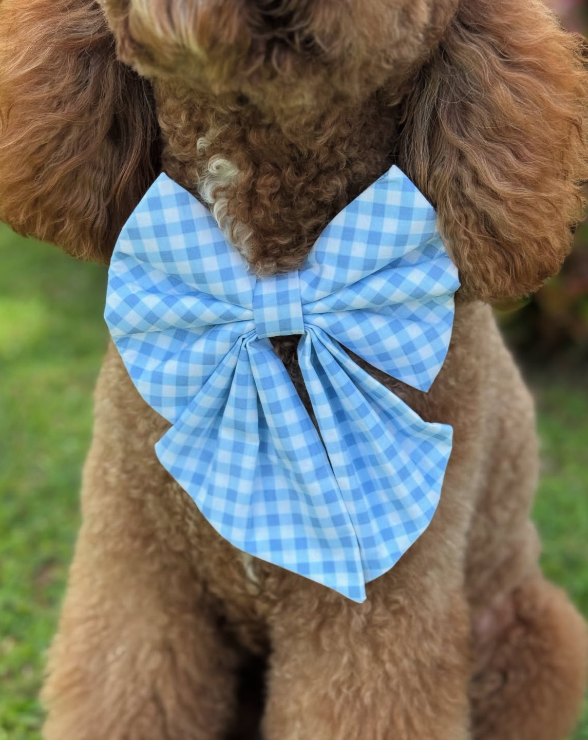 Slip-On BowTies