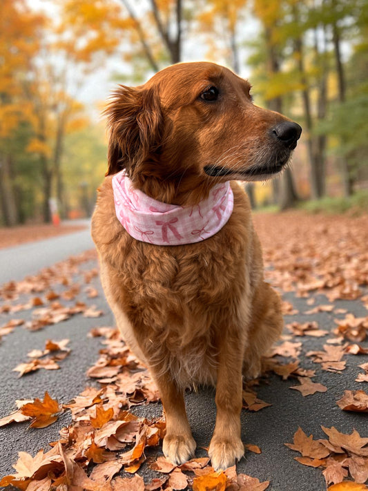 Wild Rosewood Scarf | Autumn on the Boulevard Collection 🍁
