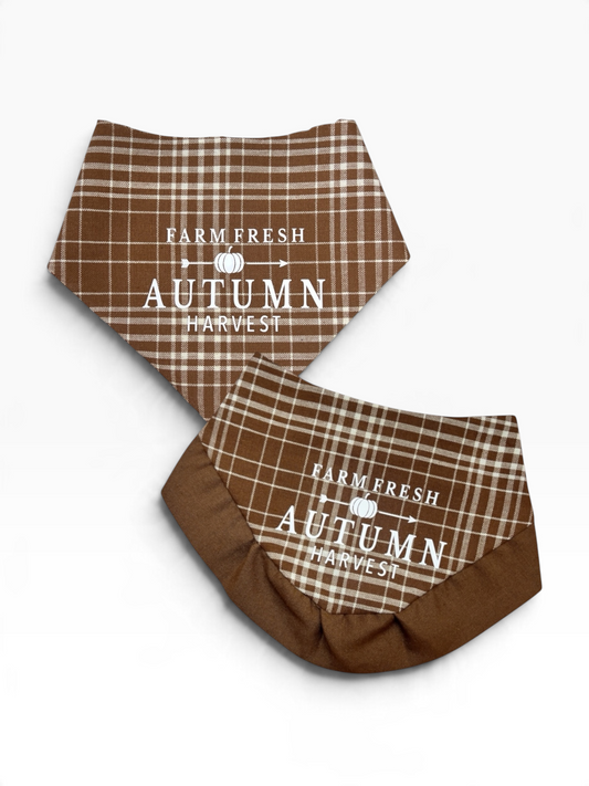 Autumn Harvest Bandana | Autumn Avenue