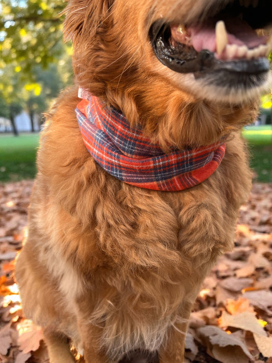 Spiced Cider Scarf | Autumn on the Boulevard Collection 🍁
