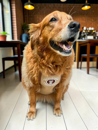 Boulevard Pupcup Cafe Apron | Autumn Avenue