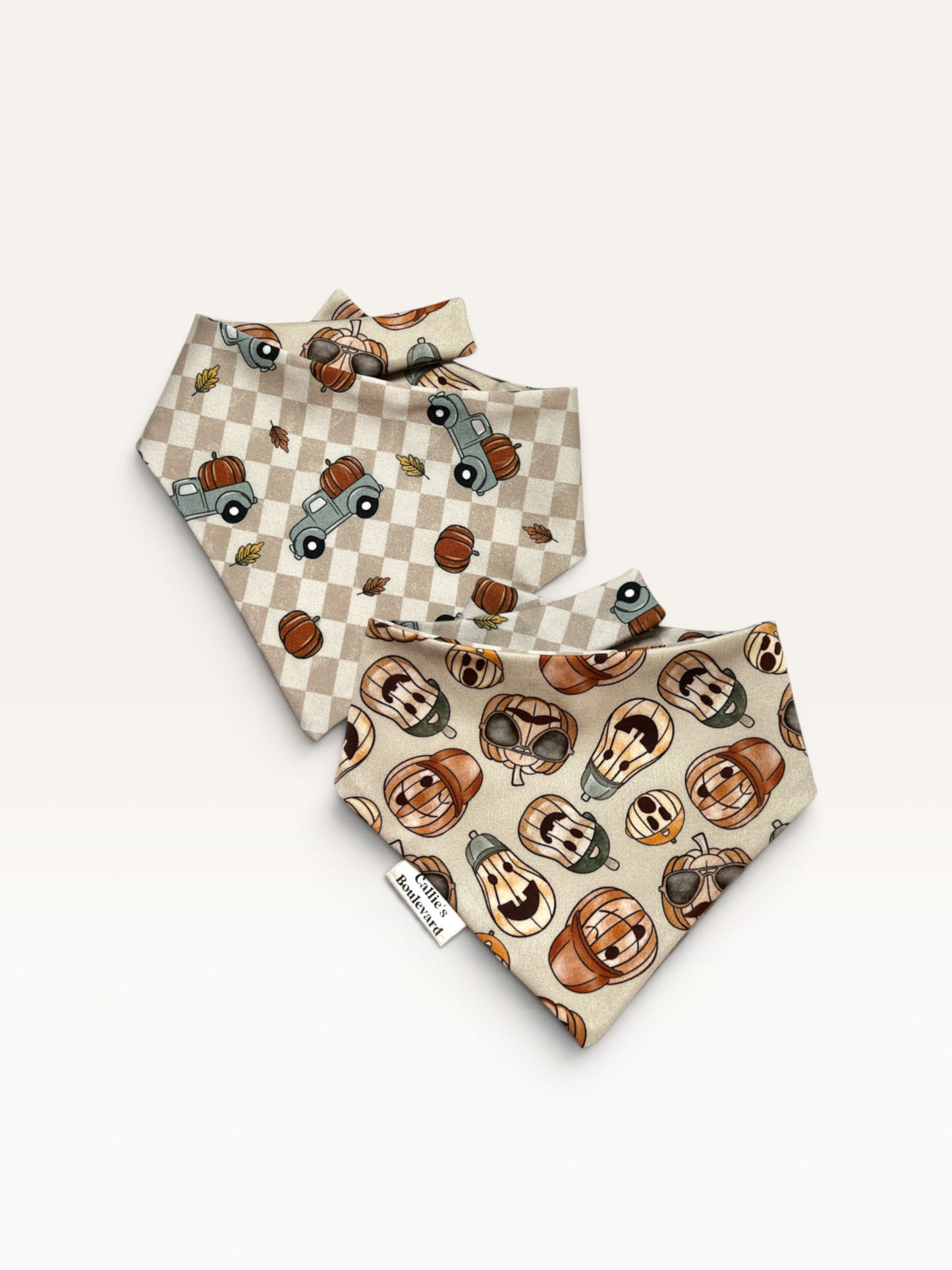 Harvest Highway Bandana | Autumn On The Boulevard