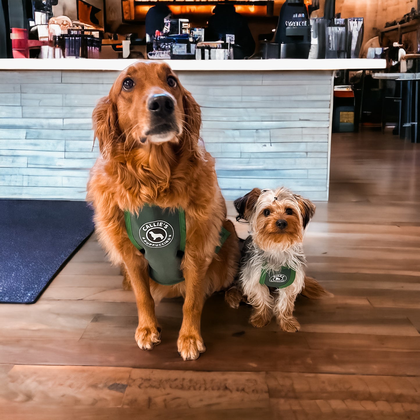 PUPPUCCINO APRON