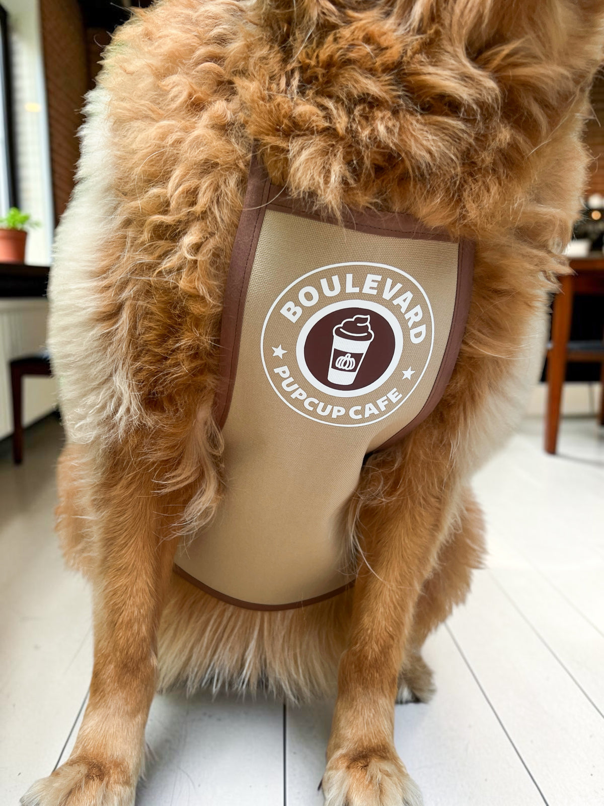 Boulevard Pupcup Cafe Apron | Autumn Avenue