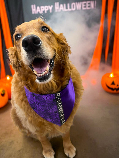 Bewitched Web Bandana | Boolevard After Dark Collection 👻