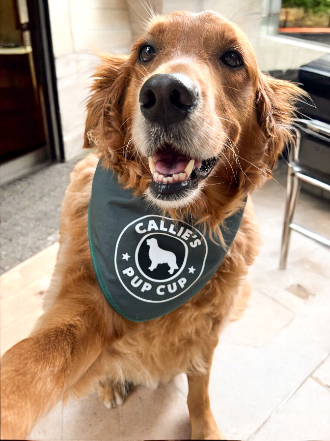 CUSTOM PUPPUCCINO BANDANA