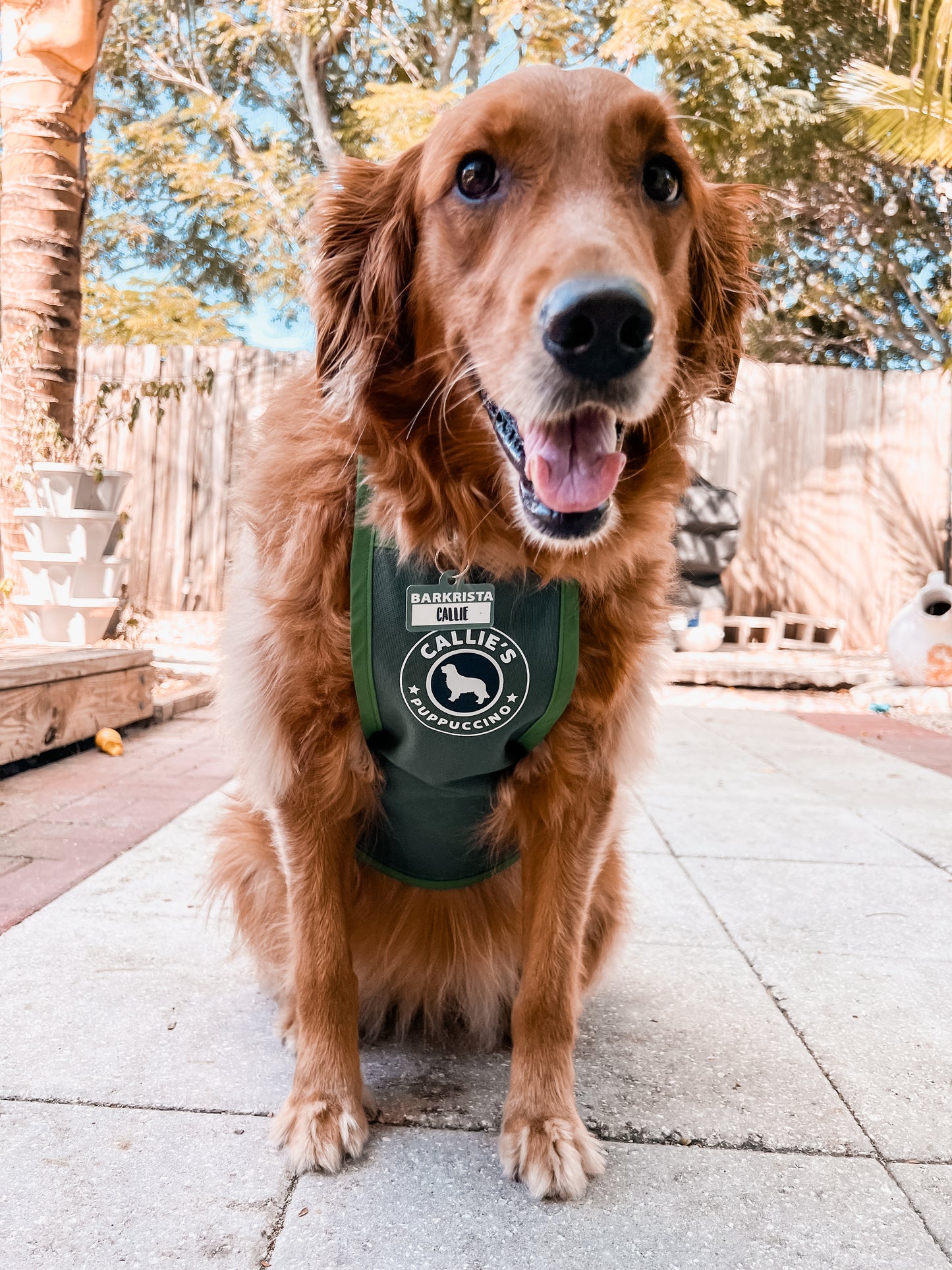 PUPPUCCINO APRON + TAG SET