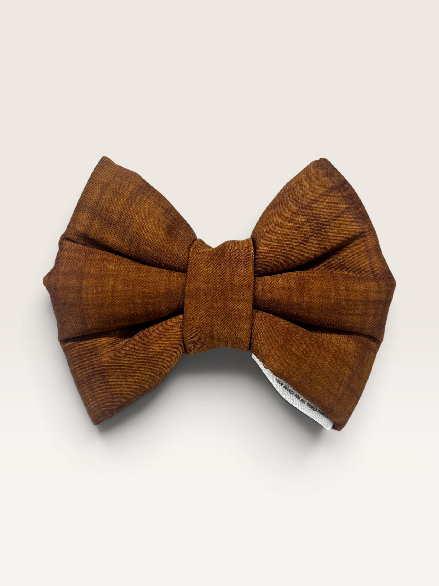 Teddy Bowtie | Autumn Avenue