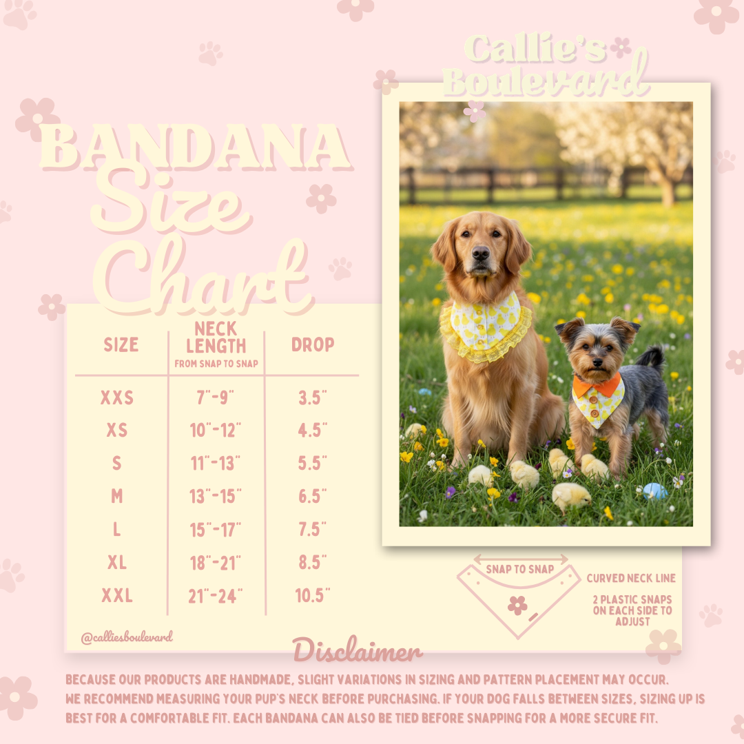 Daisy Bandana | Petals On The Boulevard ✿