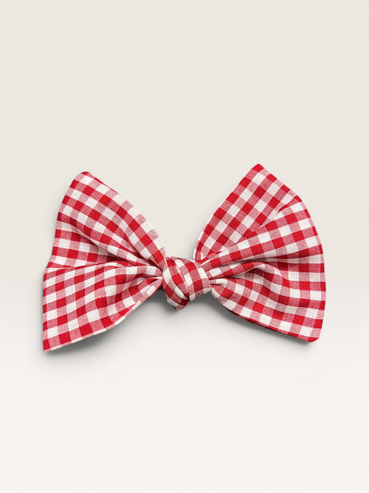Red Gingham Knotted Clip-On Bow | Pet Accessories